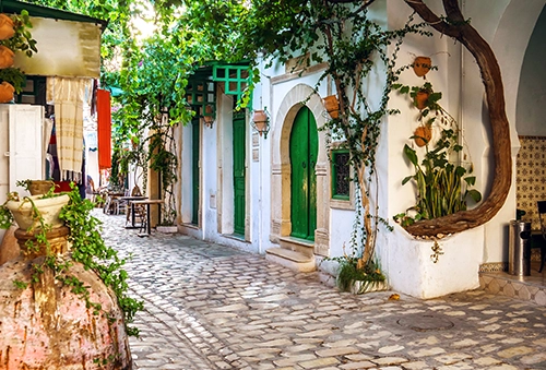 Ame des villes arabes